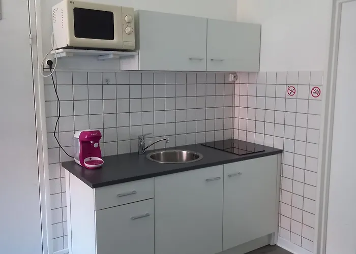 Colmar: Dans Le Centre Historique Apartment *